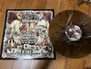 NAUSEA-world struggle RARE BROWN SPLATTER VINYL LIM 100 terrorizer