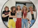 Def Leppard : Limited Edition Interview Picture Disc LP (Baktabak) UK