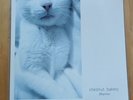 Chestnut Bakery - Diaries - Pink Vinyl LP New