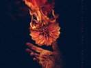 Wolves At the Gate Eulogies (Vinyl) 12