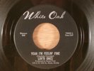 Luv'd Ones  Yeah I'm Feelin' Fine/Up Down Sue  CRAZY RARE  Girl Fuzz Garage