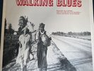 Walking Blues Flyright Records Vinyl LP 541 Mono Son House Willie Brown Booklet