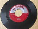 Robins DOO WOP 45 Framed / Loop De Loop Mambo SPARK Silver Top Original M- HEAR