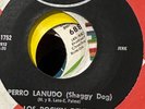 Latin 45 Rock Soul Jerk Twist Orfeon Los Rockin Devils Perro Lanudo Gloria VG+