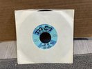 The Just Luv Valley Of Hate Rock Underground M-S Records MSK Prod 45RPM Record
