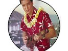 Elvis Presley - Blue Hawaii Picture Disc  (Vinyl LP - 1961 - EU - Reissue)