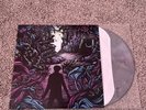A Day To Remember Homesick Vinyl Lp Gray Putty