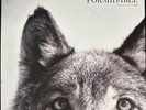 The Joy Formidable Wolf’s Law LP Box Set