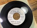 1965 DOOWOP PROMO Gallahads Keeper Of Dreams/  Sad Girl STARLA DJ WLP