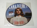 LANA DEL REY Born To Die Vinyl LP Picture Disc RARE OOP - RSD 2013 Ltd Ed
