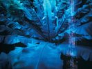 Hum - Downward Is Heavenward - Vinyl LP - New SEALED