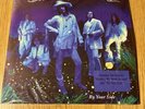 The Black Crowes – By Your Side vinyl