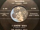 BEVERLY HILLS PAINTERS Doowop 45 Me Meow #2325 I Know Why b/w Five Foot Three M-