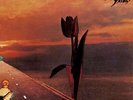 THE PRETTY THINGS - PARACHUTE,  180GRAM LIMITED EDITION CLASSIC LP
