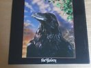 THE STRANGLERS ,THE RAVEN 3D PICTURE COVER