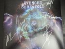 Avenged Sevenfold The Stage Signed Autographed LP Vinyl