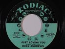 Northern Soul 45 RUBY ANDREWS Just Loving You/The Love I Need on Zodiac