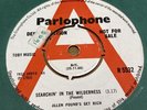 Allen Pound's Get Rich - Searchin' In The Wilderness 7