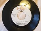 45 RPM VOCAL GROUP/THE FABULOUS ENCHANTERS/WHY ARE YOU CRYING?/SOMETHING BLUE