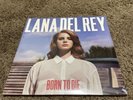 Lana Del Rey BORN TO DIE Import + Bonus Tracks New Sealed Vinyl 2 LP