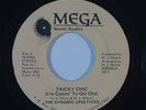 70s Soul/Funk 45 DYNAMIC UPSETTERS Tricky Chic/Love Changes on Mega VG+