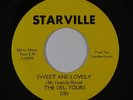 Northern Soul 45 DEL-TOURS Sweet & Lovely/Blind Girl on Starville VG+/NM