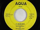 Northern Soul 45 - Chantells & Aqua Lads - I'll Never Know - Aqua