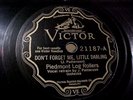 Piedmont Log Rollers- EX SHELLAC - Don't Forget Me Little Darling (1928)