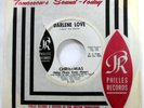 DARLENE LOVE 45 Winter Wonderland Christmas PHILLES Promo VG+ Bd 136
