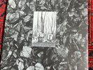 Flux Of Pink Indians - Strive To Survive Causing Least Suffering Possible LP
