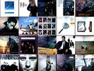 Pop 70/80s Vinyl Bundle Vol. 308: 20x LP Sting, Spandau Ballet, Luv, ... .