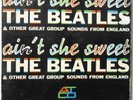 The Beatles Ain't She Sweet Atco 169 33RPM Vinyl G 010924EBR