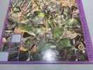 Stone Roses So Young/Tell Me Vinyl Debut Single