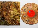DAVE MASON   ALONE TOGETHER   MARBLE COLORED VINYL   