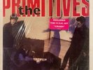 THE PRIMITIVES Lovely LP RCA 8443-1-R US 1988 VG+ 12C