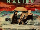 Anderson Paak - Malibu [Explicit Content] Poster, Digital Download Card) - HIP H
