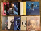 12 inch vinyl records bundle Incl. Nirvana, Pink Floyd, Frank Turner, Nas, KoL