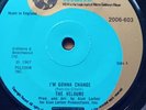THE VELOURS IM GONNA CHANGE MGM RECORDS BR22  UK 1967  NORTHERN SOUL