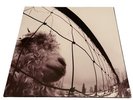 Pearl Jam – Vs. - 30th Anniversary 2 x Vinyl LP Reissue
