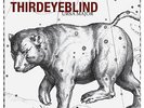 Third Eye Blind Ursa Major (Vinyl)
