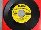 The Charades - I Don't Want To Lose You - Northern Soul Rarity - EX