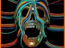Osees Intercepted Message (Vinyl) 12