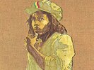 Bob Marley and The Wailers Rastaman Vibration (Vinyl) 12