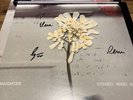 Daughter - Stereo Mind Game Sealed Eco Coloured Vinyl + Signed Print Autographed