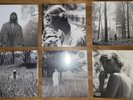 TAYLOR SWIFT Folklore 6 LP Bundle Vinyl Set Brand New Sealed