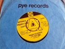 THE Settlers - Major To Minor - 7