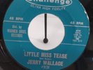 Jerry Wallace - Little Miss Tease-Mr. Lonely. Challenge Label. Sounds Great