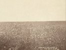 The Milk Carton Kids The Ash & Clay (Vinyl) 12