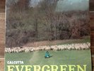 Calcutta Evergreen LP Vinile COLORATO Green - 1° STAMPA 2018