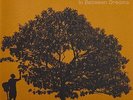 Jack Johnson In Between Dreams (Vinyl) 12